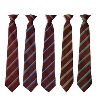 BSA (Senior) house tie